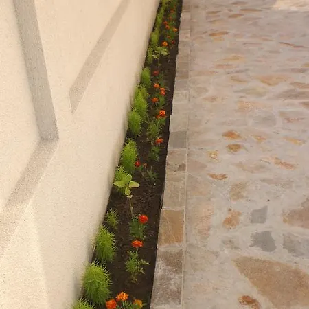 Guest house Kosta's *